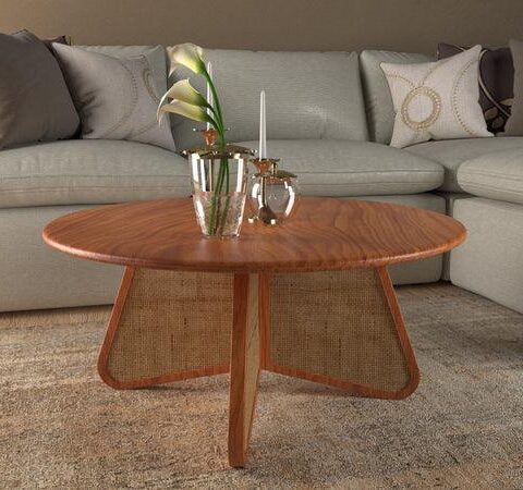 Eensy Rattan Round Coffee Table in Teak Wood Stylish Centerpiece for Modern Living Room
