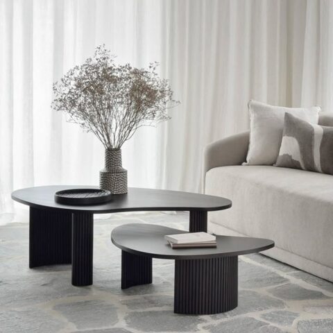NATURAL ART & CRAFT Modern Funky Wood Coffee Table Abstract Cloud Shaped in Black